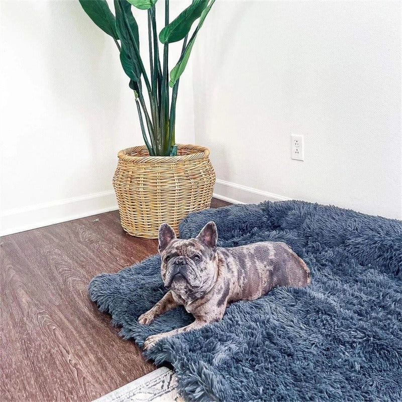 French bulldog lying on the dark grey plush bed on a wooden floor
