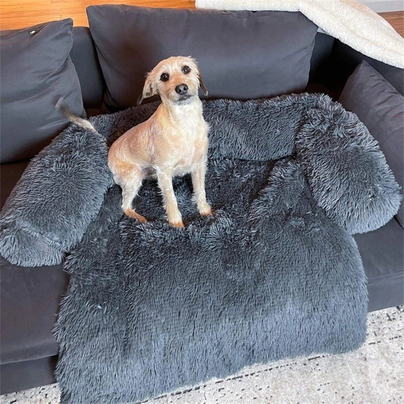 Small tan dog standing on the dark grey plush bolster bed on a couch